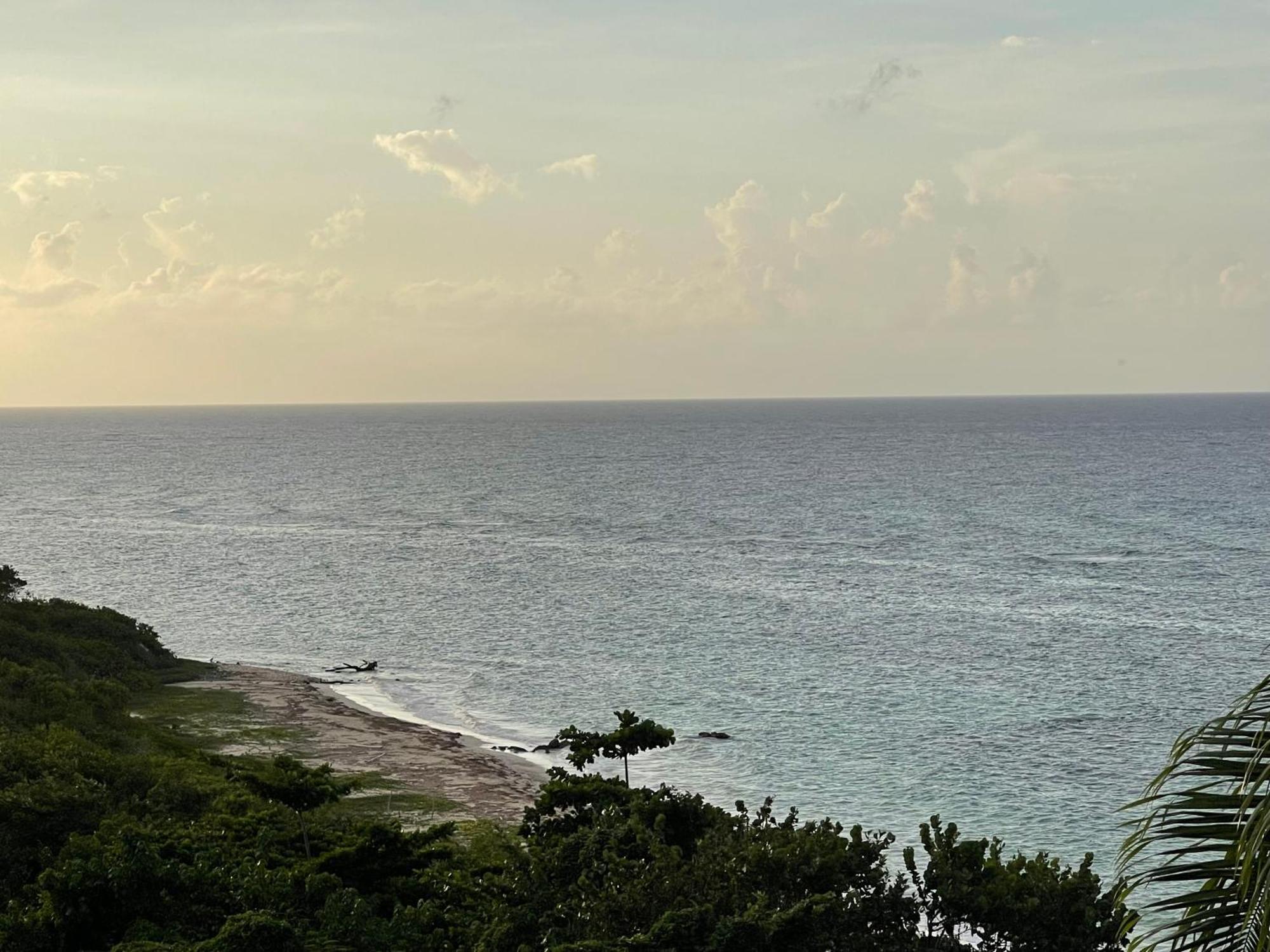 Marriott Seacastles E22, Montego Bay Aparthotel Exterior foto